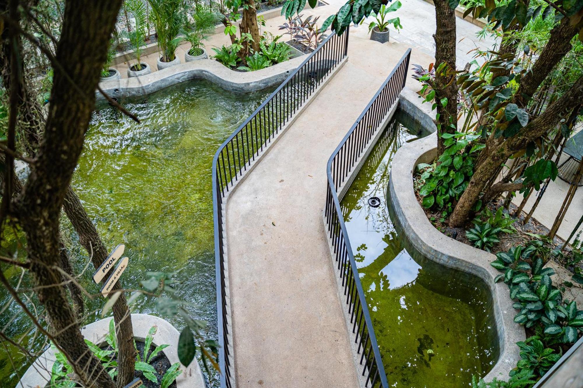 Rainforest Hotel By Nsun Kampot Exterior foto